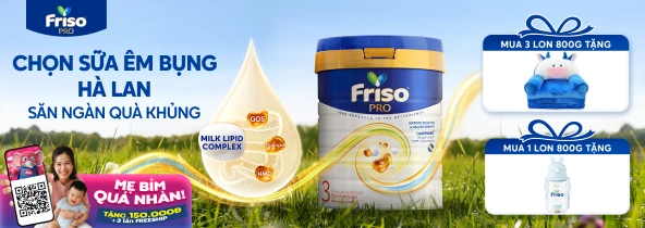 Banner trang NH Friso